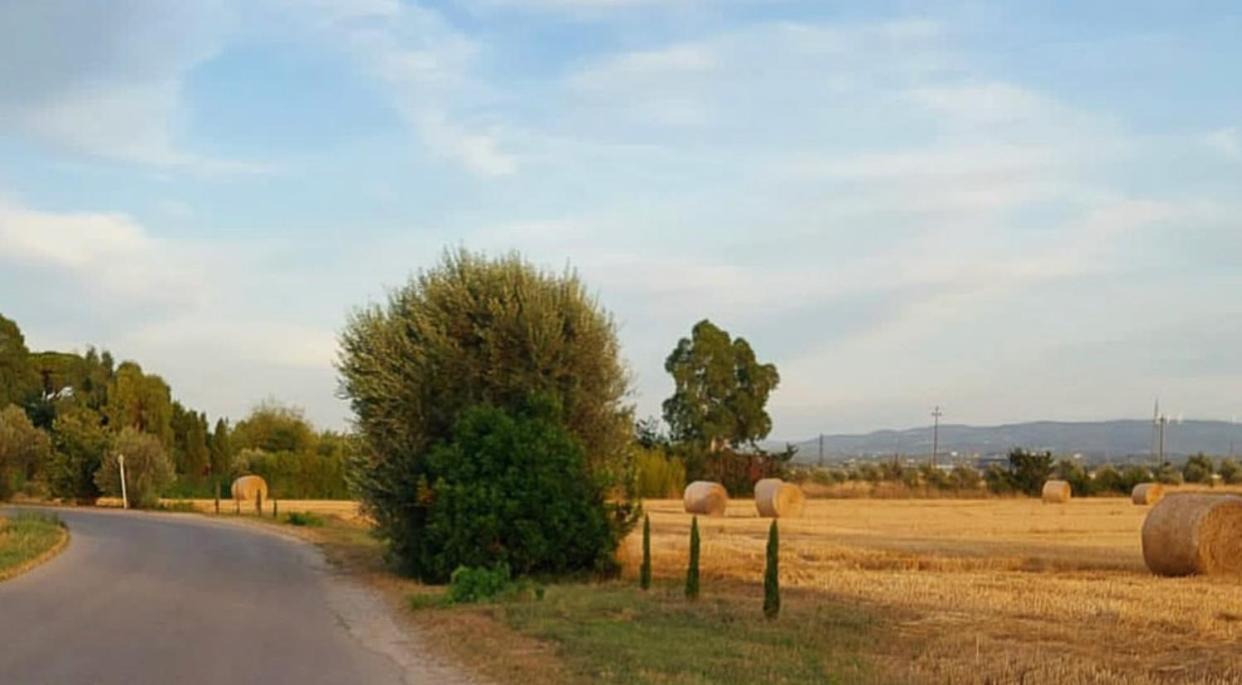 Il Cantuccio Cascina Exterior photo