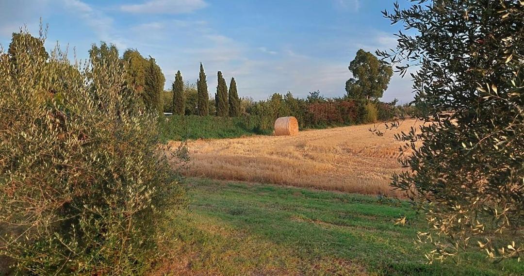 Il Cantuccio Cascina Exterior photo